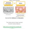 APLB - Exosome Retinol EX Cream Set