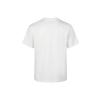 Li Ning Retro Sports Series Cool Technology Short Sleeve T-Shirt Unisex Tops Off-White AHSWA31-3