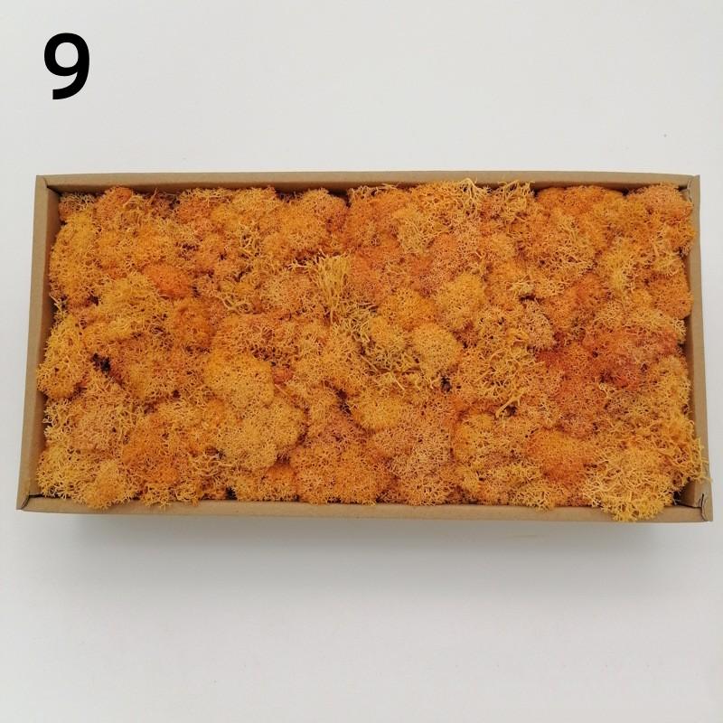 Neue 50/30/10g Künstliche Grüne Pflanzen Ewiges Leben Moos Gras Heim Garten Dekoration Mini Landschaft Künstliche Blume DIY Bastelgeschenke