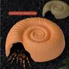 Ammonite Shape Reptile Hidden Cave Aquarium Landscape Decoration Cave Design Hideouts Shelter Simulated Snail Shell Cave Lizard