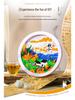 Children's DIY Creative Plate Painting Kit - Shell Design Ornaments