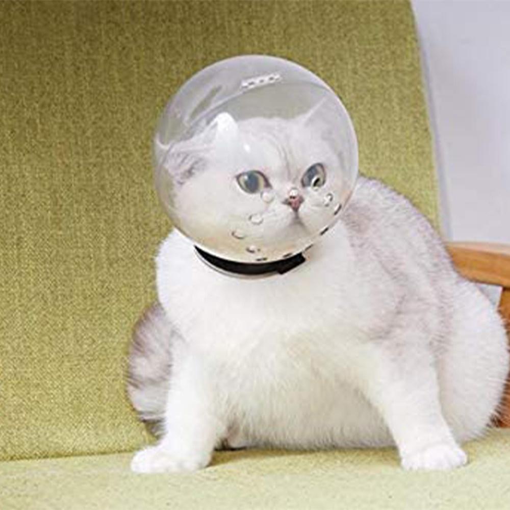 Atmungsaktive Katzenmaulkorb, Anti-Biss-Pflegemaske, Anti-Lecken, schützende Raumhaube, Maskenabdeckung, Maulkorb, Bad, Pflege, Katzenzubehör