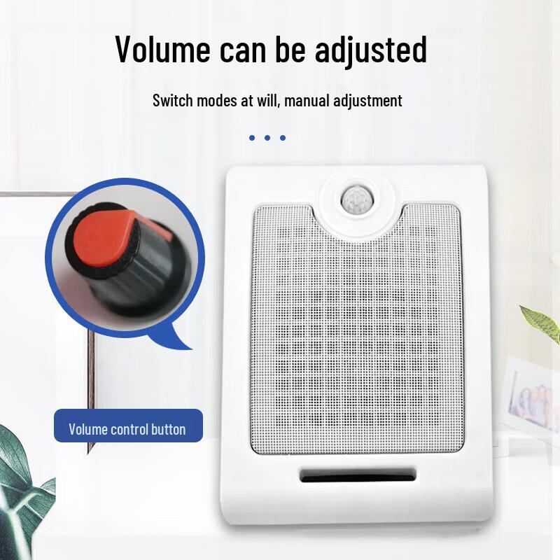 kankeirr Infrared Motion Sensor Safety Announcer CN plug (adapter included)