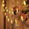 Low-Voltage Dark Green Wire Twinkling Star Fairy Lights - Outdoor Christmas LED String Lights for Courtyard Decoration.