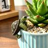 Turtle Figurines for Fish Tank Decor Cute Climbing Flower Pot Huggers, Resin Animal Planter Waterproof Garden Edges, Decorative Ornaments Indoor