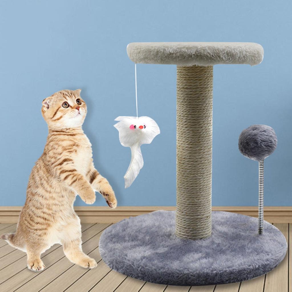 climbing frames for cats