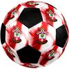 Pallone da Calcio Southampton F.C. Colorato Per Tutte le Età Cucito a Macchina PVC Pronto per la Competizione Resistente Alto Rimbalzo.TAGLIA5