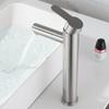 TLXT Stainless Steel Basin Faucet