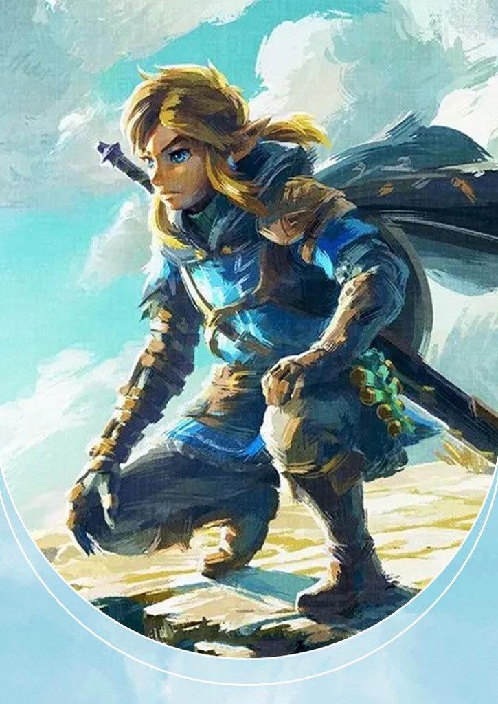 The Legend of Zelda: Tears of the Kingdom Link Cosplay Costume Full Set