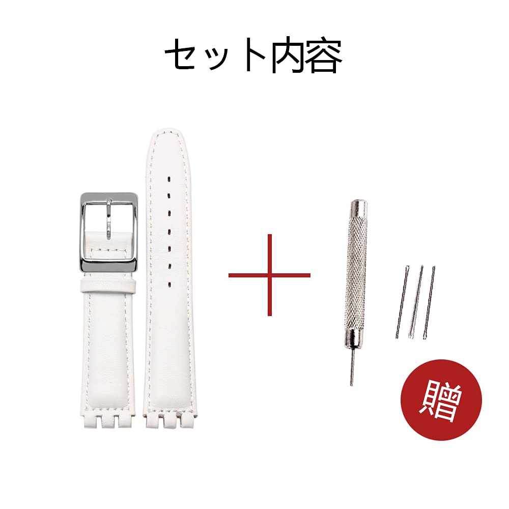 ZHUOLEI Swatch Watch Includes 3 Spring Spring Bar and Box Strap, 17mm/19mm, White, Bars, Remover,