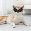 Dog Goggles for Medium Small Dog Waterproof Dog Sunglasses Pet Eyewears X3UC