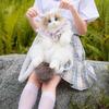 Cute Kitten Plush Backpack Doll - Birthday Gift for Girls