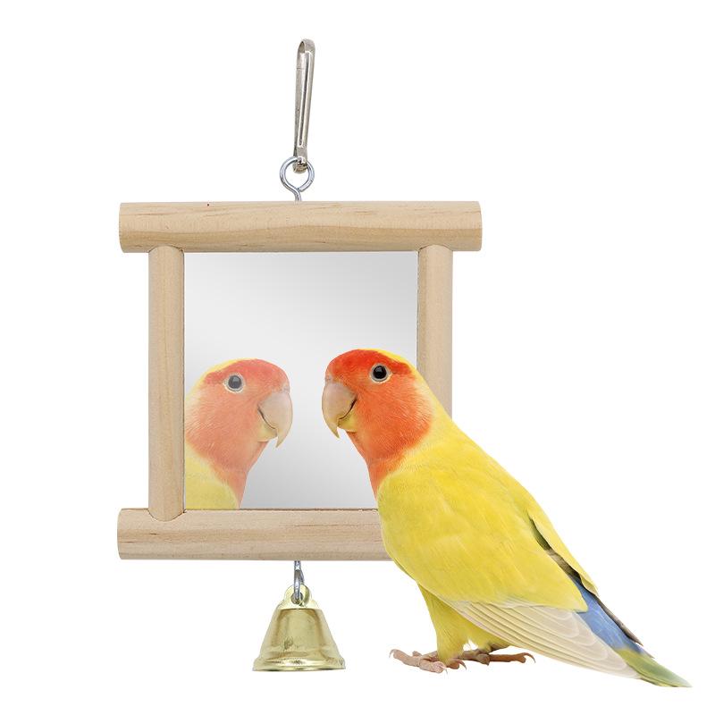 Bird Mirror and Perch Set: Parrot Toy for Balcony and Cage