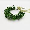 Clover Wreath Headwear, Decoration, Performance, Shooting Forest Green Plants, Lucky Grass, Photography Hair Accessories Props