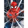 500 Piece Puzzle : Spiderman