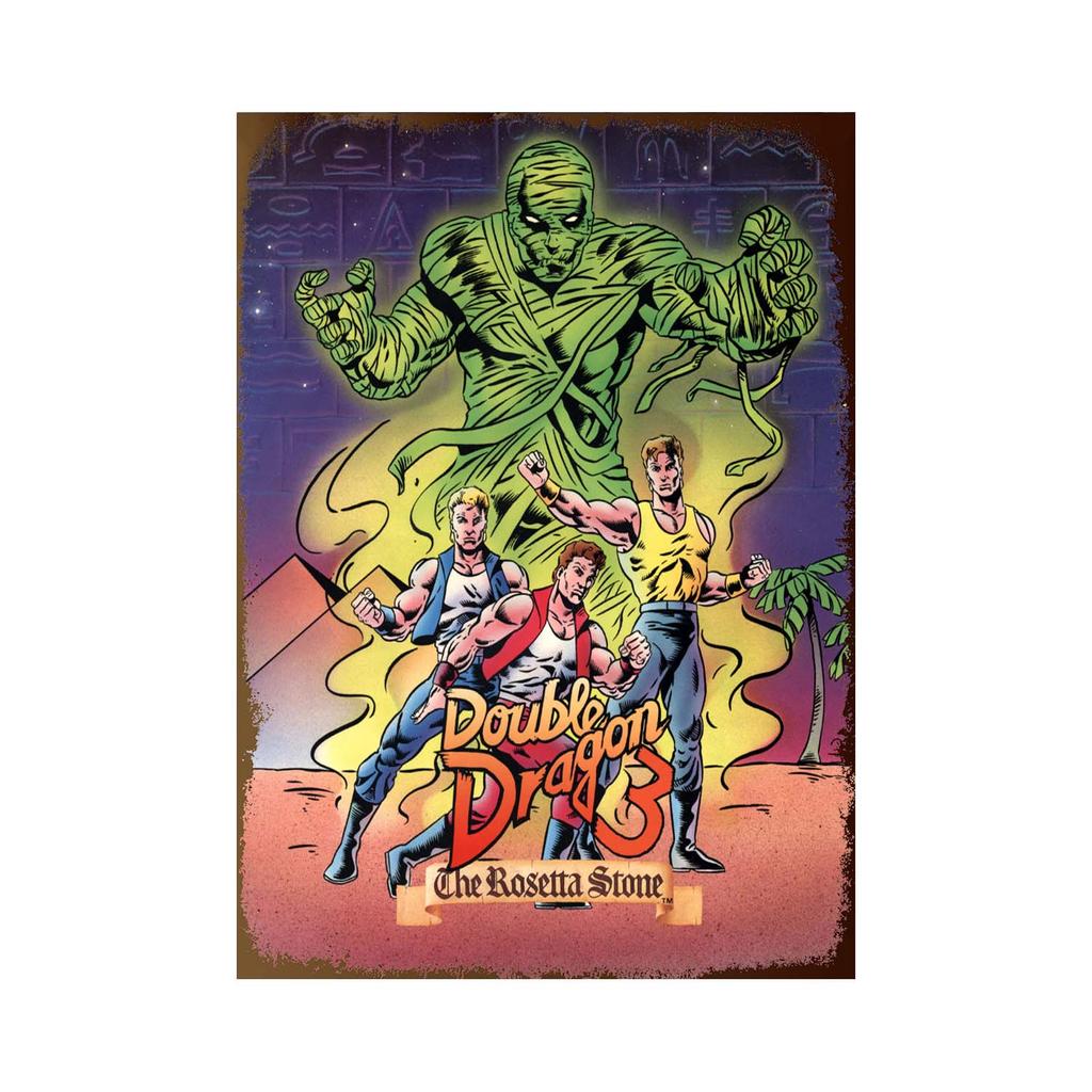 Cartoon Anime Signs Double Dragon Movie Poster Vintage Decoration Wall Metal Tin Sign Garage Tin Board Painting Art Plate Sig