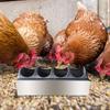 Feeder Trough Chick Feeding Dispenser No Waste Stainless Steel Tray for Bird Parrots Turkey