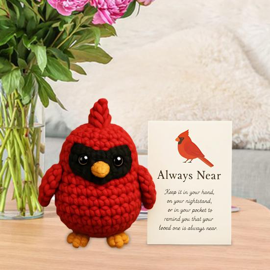 Yousheng Crochet Red Bird Emotional Support Ornament with Inspirational Card Pocket-Sized Hug Companion Positive Bird Gift for Women Loved Ones