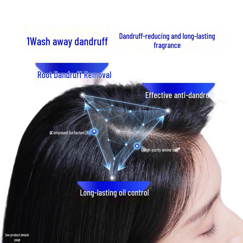 Head & Shoulders Anti-Dandruff Oil Control Shampoo