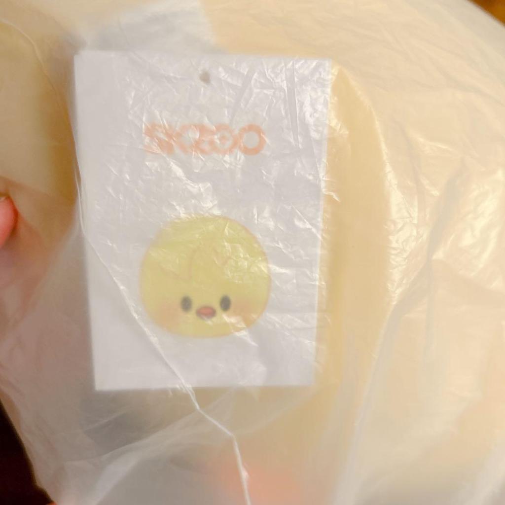 [USED] straykids SKZOO BABY BbokAri Cushion Pogari