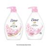 Dove Moisturizing Shower Gel & Body Scrub Set