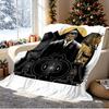 Iota Phi Theta Pattern Blanket for Home Decoration, Bed, Sofa, Car Travel, Camping, Suitable for All Seasons, Birthday Christmas Gift