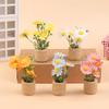 1/12 Dollhouse Simulation  Plants Potted Model Doll Home Miniatur Flower Decor Toy Micro Landscape Garden Plants Ornament