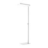 Moon Shadow Full Spectrum Eye Protection Floor Lamp