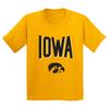 Iowa Hawkeyes Statement Block, Team Color Youth T Shirt - Gold