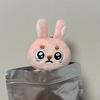 DAY6 Wonpil Unfiltered Solo Concert Merchandise Mini Plusle Keyring Ppuengpil