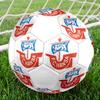 FC Hansa Rostock Größe 5 Fußball, Maschinengenähtes PVC, Langlebig & Hoher Rückprall, Für Alle Altersgruppen Geeignet, Fanartikel, Spiele & Außenbereich.