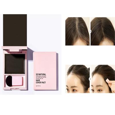 Haar Make-Up Abdeckung Pakt 6g
