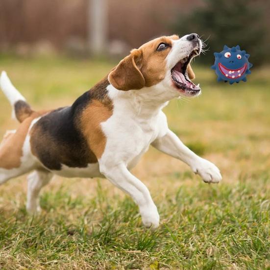 Giocattoli da masticare per cani indistruttibili, grandi cani, palla di spine che squittisce, giocattolo in lattice per animali domestici con suono incorporato, cura dentale, cartone animato divertente da masticare