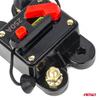 Car Circuit Breaker 250A 12V 24V 48V AMIO-03831