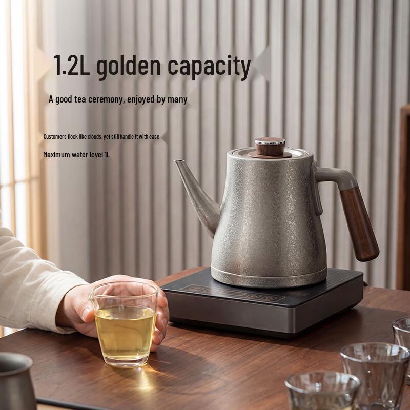 Yiwu Pure Titanium Electric Tea Kettle with Auto Water Pump