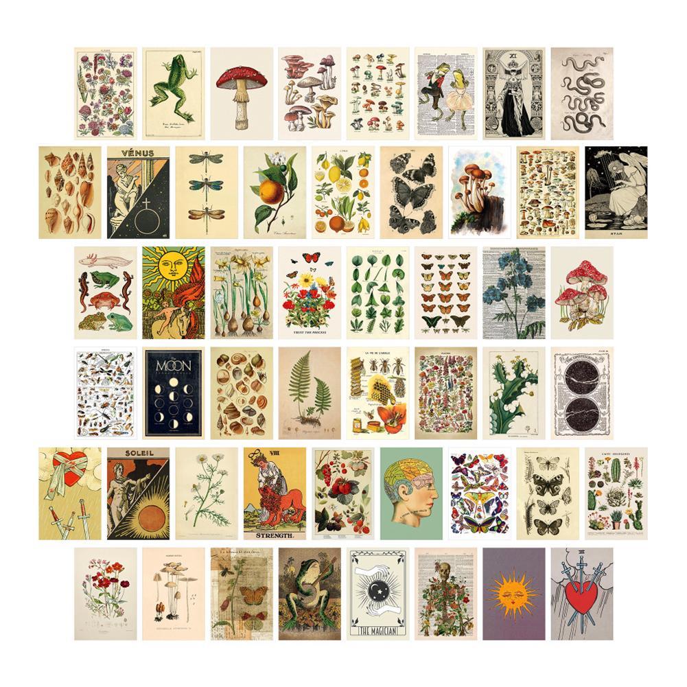 buy wall collage kit indie room decor aesthetic new quality f6x2 x2d2 at affordable prices free shipping real reviews with photos joom