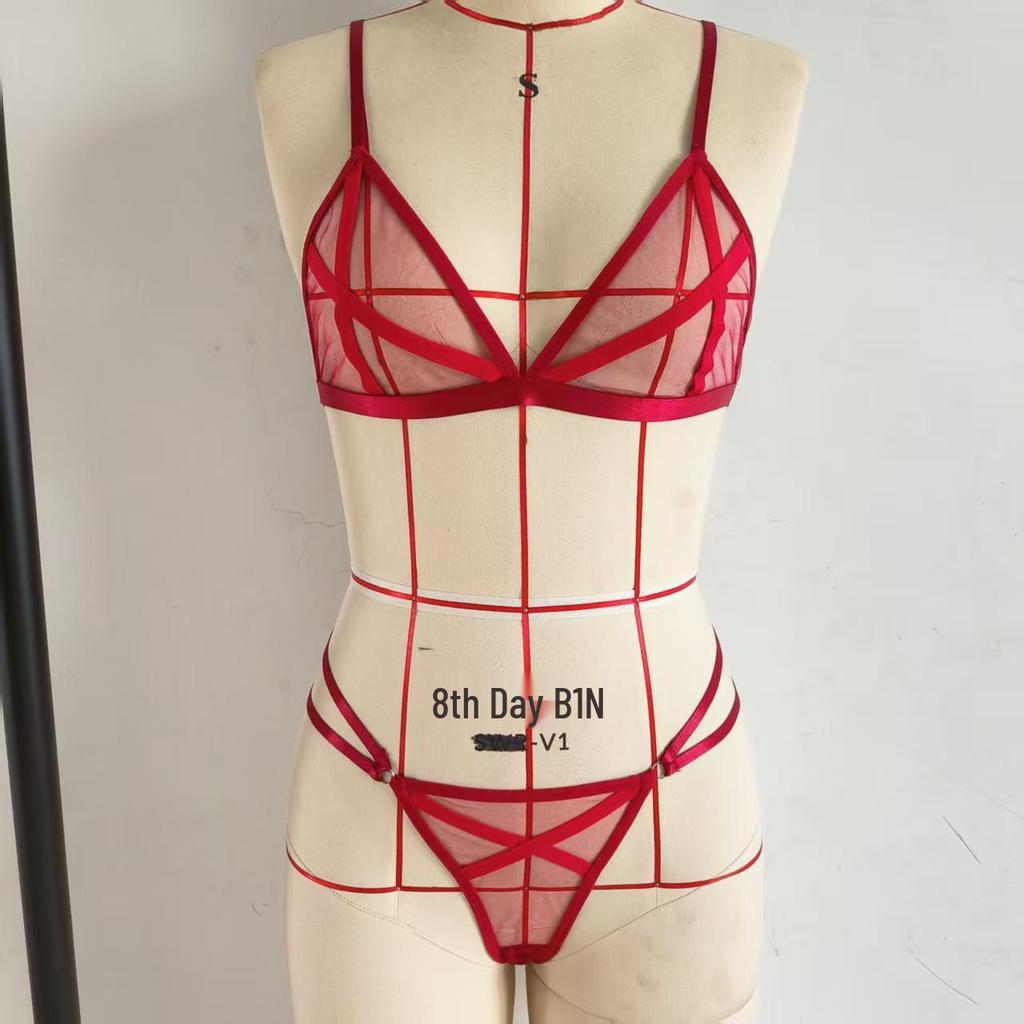 European & American Erotic Lingerie: Women's Sexy Three-Piece Mesh See-Through Lace-Up Bra & Panty Set.