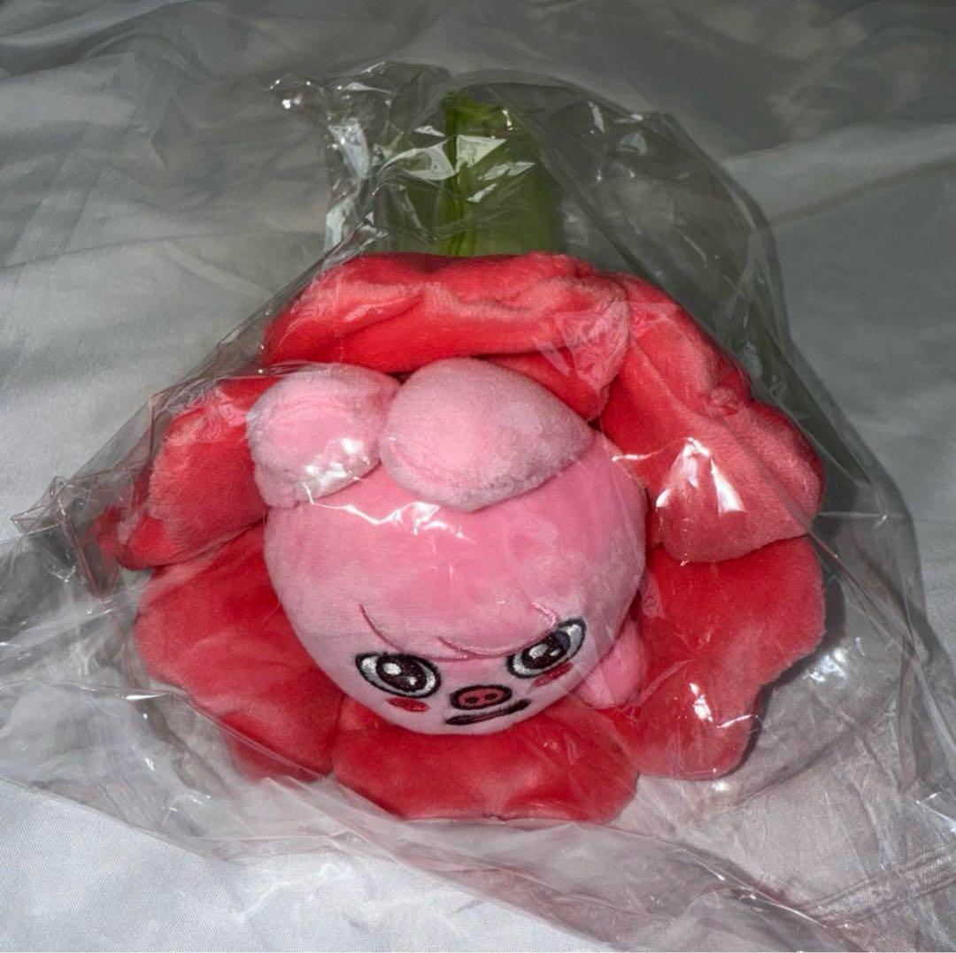 

[Б/У] Stray Kids Чанбин DWAEKKI Пенал