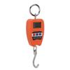 Portable Electronic Scale High Accuracy Digital Hanging Scale 200kg Weight Capacity Crane Scale for Food Luggage