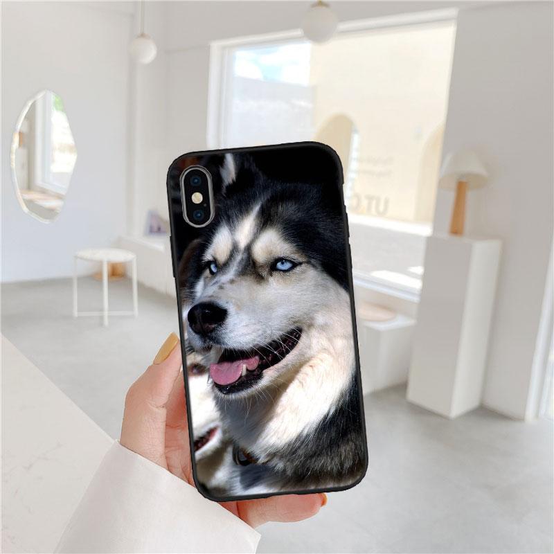 LO53 Husky Puppy Dog Soft Shell Phone Case for iPhone SE X XS XR 11 16E 17 Pro Max Air 8 7 6 6s Plus