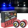 VELENO LED Fog Lamp 2 Color Switching L1B White Blue