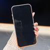 Creative Apple 17 ProMax iPhone16 Two-in-One Spliced Phone Case with Top/Bottom Inserts and iPhone14/15 Transparent Protection