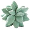 25cm Lifelike Succulent Plants Plush Stuffed Toys Soft Doll Creative Potted Flowers Pillow Chair Cushion for Girls Kids Gift