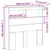 VidaXL Armoire Tête de Lit avec LED, Tête de Lit avec Compartiment, Meuble de Rangement Chambre à Coucher, Accessoire de 839188