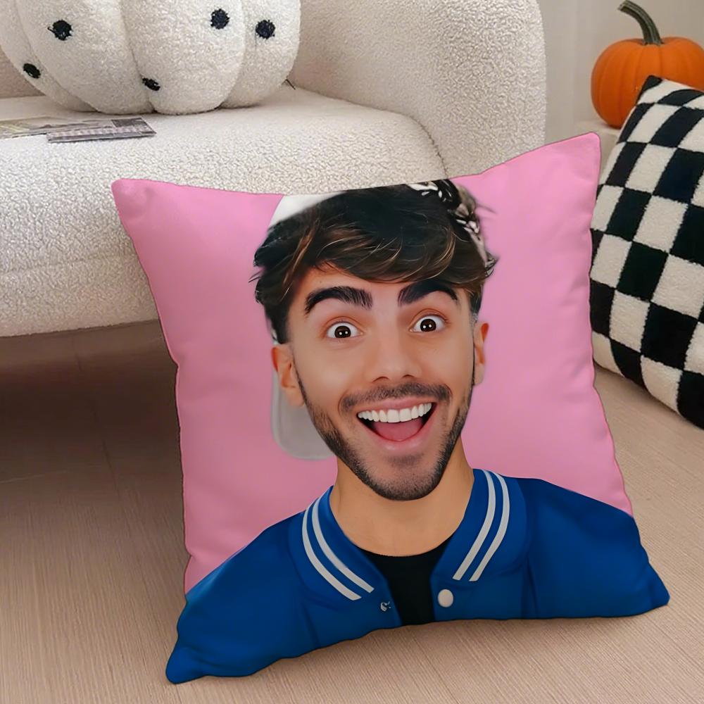 Creative Funny Argentine Creator FFede Vigevani Cushion Cover Throw Pillow Cover Hidden Button Durable Polyester Chair Cushion