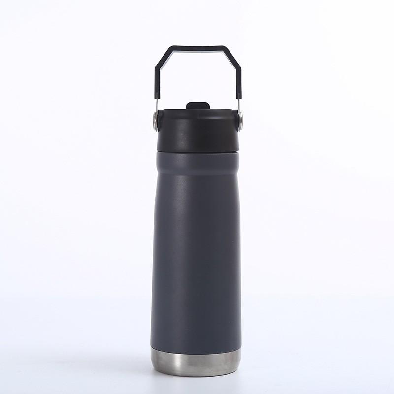 Stainless Steel Vacuum Insulated Travel Mug With Straw Lid 650ml Car Office Gym Outdoor Use