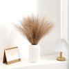 20pcs Simulated reed grass, Faux Feather Stems, Home Decor, Fabric, for Living Room, Wedding, Engagement,No Vase Included
