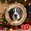 Cute Animal Christmas Ornament 2D Nimal Raccoon Owl Ornaments Car Bunny Decoration Squirrel Hedgehog Wildlife Bird Hanging E6U3