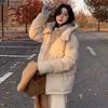 Winter Short Down Jacket Women Loose Fit Thickened Warm Puffer Coat Casual Parka