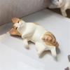 DW93 5pcs Kawaii Resin Mini Sleeping Cat Mini Figures Miniature Things Statues Dollhouse Room Home Decor Items Desk Accessories